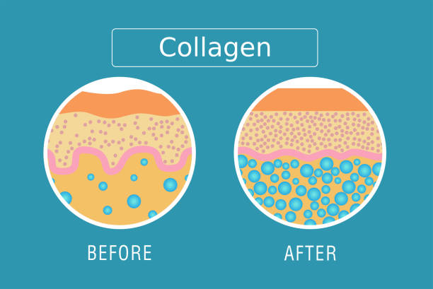 best collagen peptides