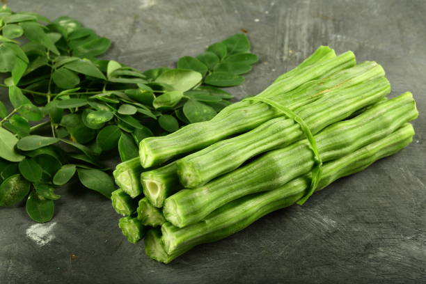 moringa plante tunisie